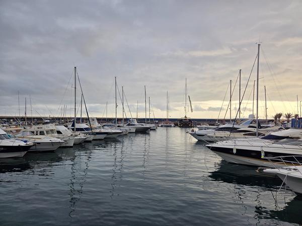 Wide view of Puerto Colón marina filled with sailing yachts and powerboats