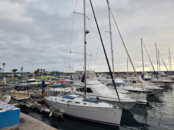 Docked white yachts with palm trees and evening sky at Puerto Colón