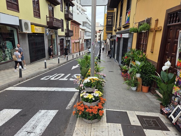 Old-town street decorated with flower baskets and potted plants outside small shops in Puerto de la Cruz.