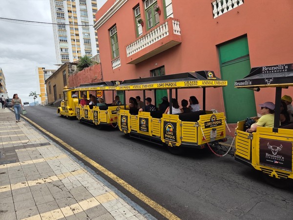 Yellow Loro Parque road train carrying visitors up a town street in Puerto de la Cruz.