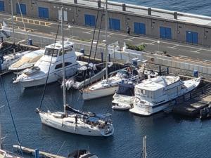 Luxury yachts moored in marina
