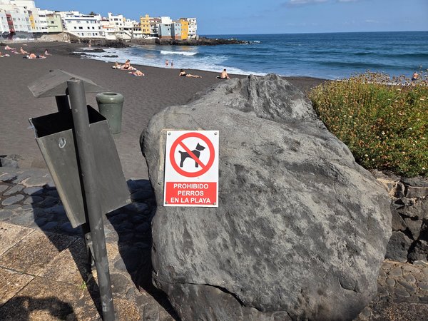 Sign fixed to volcanic rock indicating that dogs are prohibited on the beach.