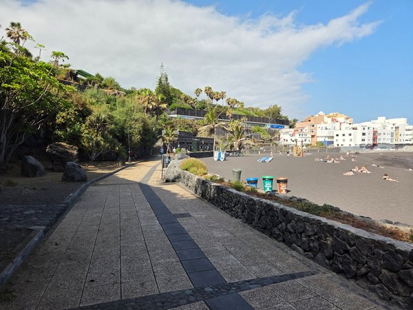 Shaded promenade lined with palm trees running behind Punta Brava Beach.