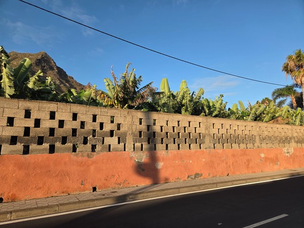 Perimeter wall of a banana plantation in Punta del Hidalgo with Anaga mountains at sunrise.