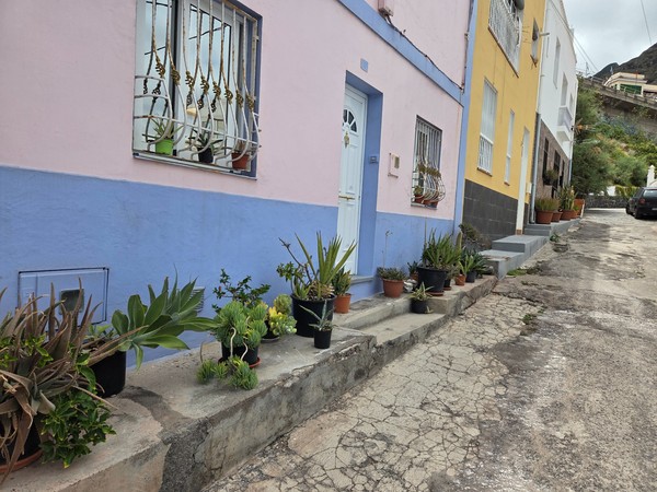 Residential street in Punta del Hidalgo at golden hour with Anaga mountains behind.