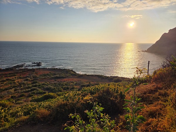 Sun reflecting on the Atlantic off Punta del Hidalgo with terraced coastal slopes and lava shore.