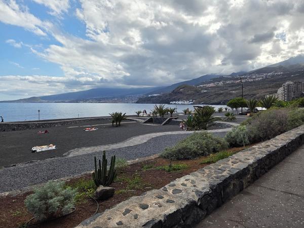 Palm-lined paseo near the beach with volcanic landscape in the background.