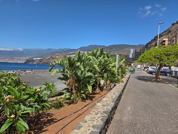 Seaside path lined with lush plants and a view of Radazul cliffside homes.