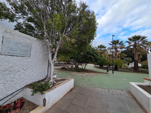 Plaza Isidro Hernández with shaded paths and palm trees.