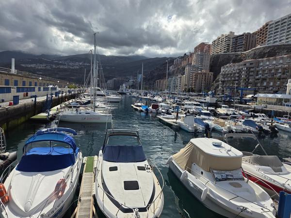 Boats docked at the Radazul marina with residential towers nearby.
