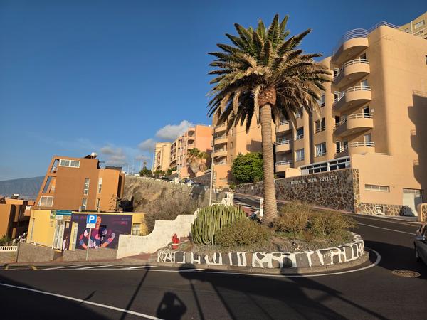 Palm-lined street surrounded by apartment buildings in afternoon light.