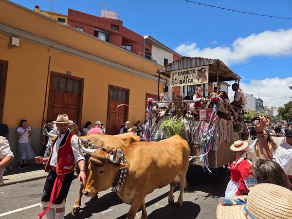 Decorated ox cart labeled Carreta La Baifa, adorned with colorful ribbons and traditional figures.