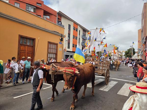 Cart shaped like a boat, decorated with various colorful flags.