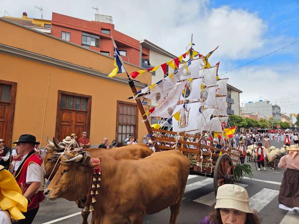 Multiple ox carts with ship designs and Canarian maritime flags.