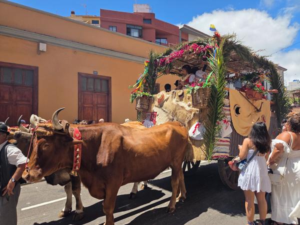 Traditional cart with natural materials and agricultural motifs.