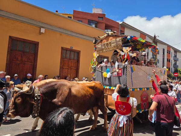 Decorated ox cart Los Chulicornios with children and festive adornments.