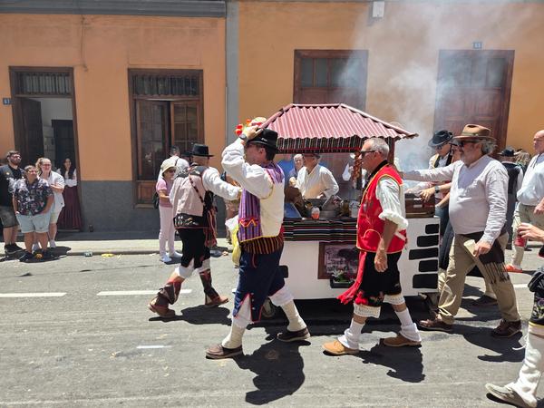 Participants moving through the festive streets with decorated carts and animals.