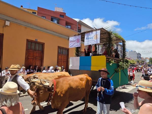 Oxen cart presented by Rotary La Laguna, decorated with plants and banners.