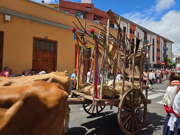 Old-fashioned wooden cart with farming tools, hay, and colorful ribbons.