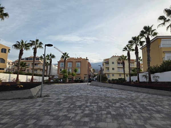 Modern low-rise homes and apartments framed by palms near the center of Playa San Juan.