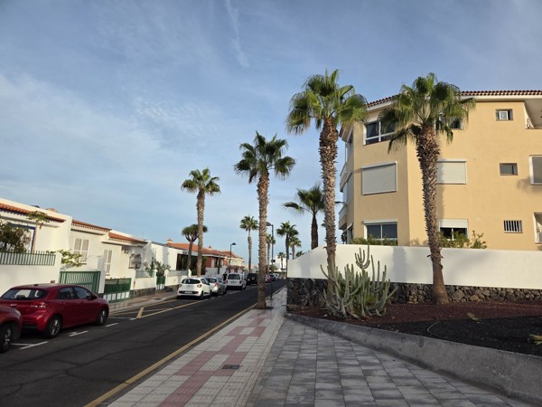 Palm-lined street with white villas and tiled sidewalks a short walk from the promenade.