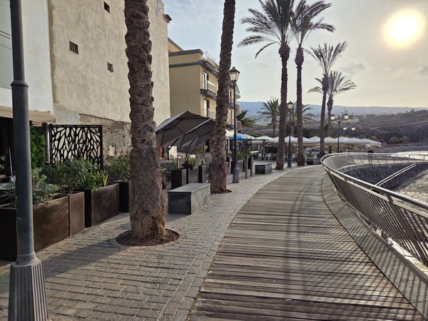 Palm-lined walkway beside the beach with benches and garden beds along the Playa San Juan promenade.