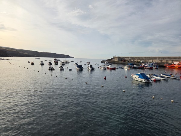 Dozens of small boats moored inside the protected harbor beside Playa San Juan, with the breakwater beyond.