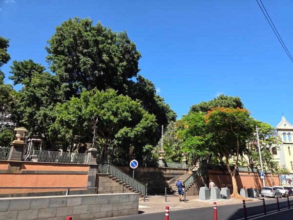 Historic stone steps with wrought-iron railings rising to a tree-filled terrace in Santa Cruz de Tenerife.