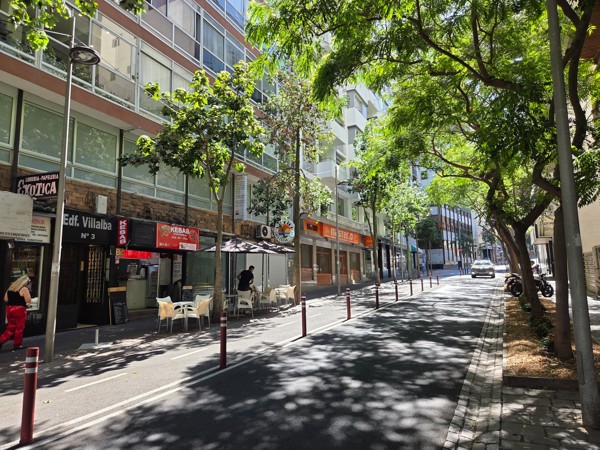 Quiet city street in Santa Cruz de Tenerife with trees, small eateries and morning light.