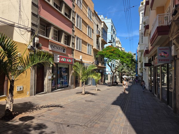 Pedestrian shopping lane with palms and colorful façades in Santa Cruz de Tenerife.