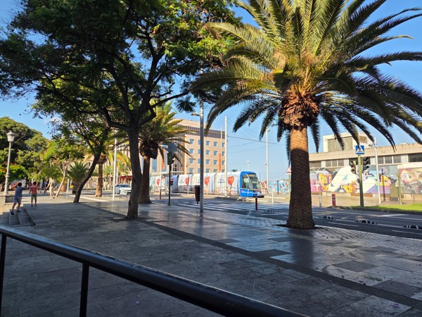 METROTenerife tram running along a palm-lined boulevard in Santa Cruz.