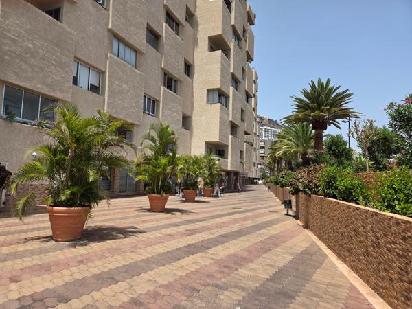 Paved walkway with planters and ocean view