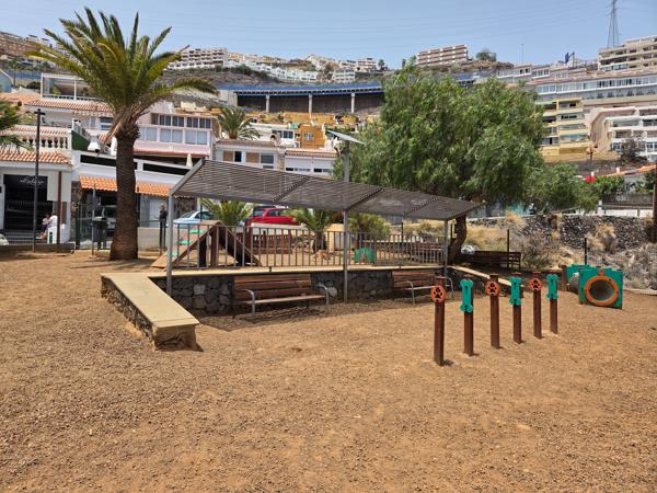Dog park area with benches and agility tools