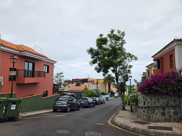 Quiet residential street in Tacoronte with family homes, palm trees and parked cars.
