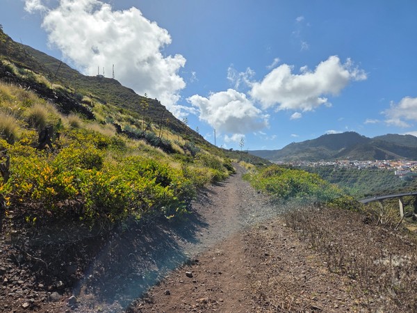 Dusty hiking path with agaves and shrubs above Tejina, framed by Anaga foothills.
