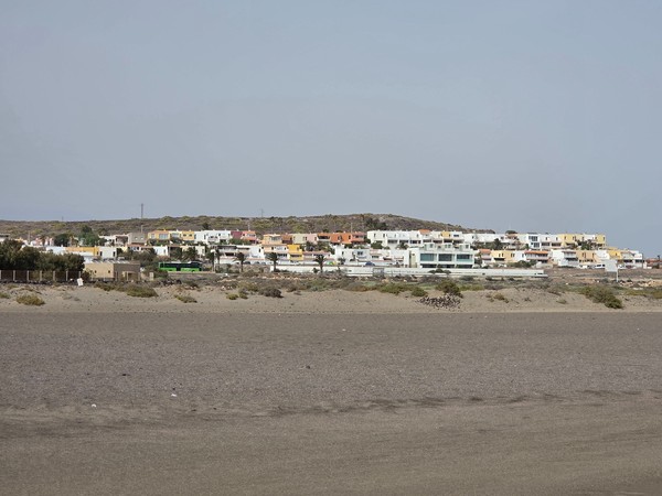 Low-rise coastal neighborhood near La Tejita with pastel houses and a green public bus passing along the shoreline road.