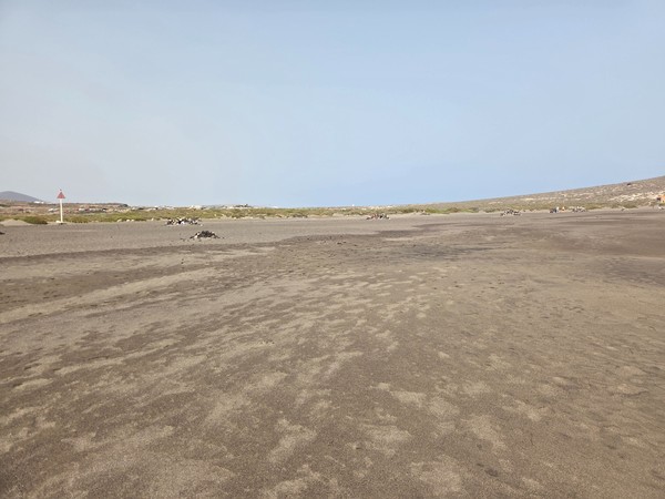 Sparse dunes behind La Tejita marked with signage and boundary markers to protect the sand ecosystem.