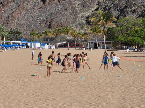 Children enjoy organized games and activities near the palm trees, showcasing how family-friendly the beach environment is.