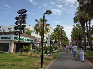 Tourists walking along the palm-lined promenade of Playa de las Américas